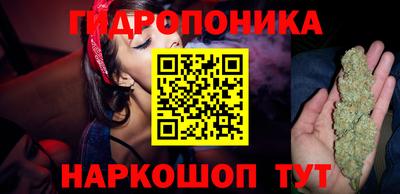 скорость Заводоуковск