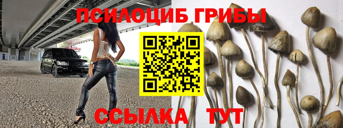 Псилоцибиновые грибы мицелий Мариинск